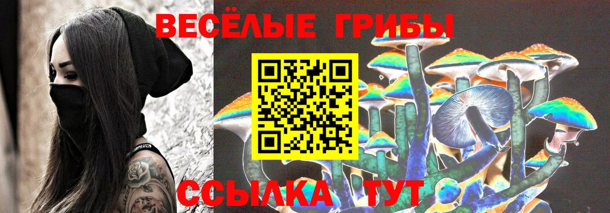Псилоцибиновые грибы Psilocybe Томск